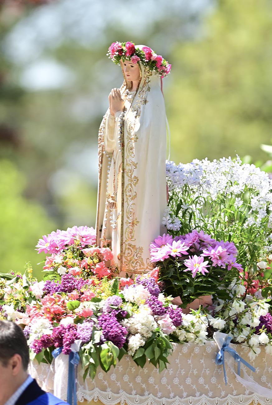Immaculate Heart of Mary School